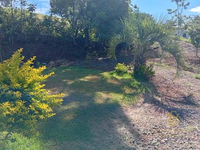 #4 - Chácara para Venda em Pinhalzinho - SC - 2