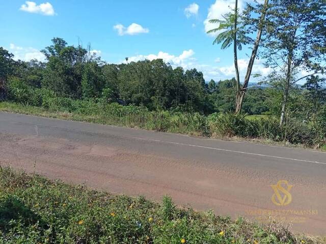 #4 - Chácara para Venda em Pinhalzinho - SC - 3