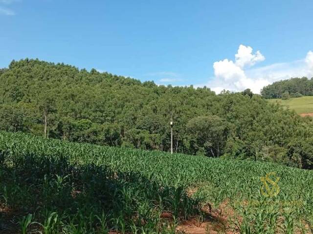 #3 - Sítio para Venda em União do Oeste - SC - 2