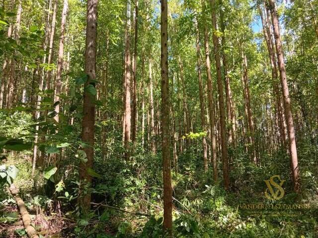 Sítio para Venda em União do Oeste - 4