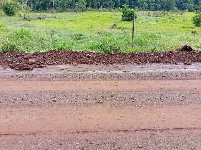 Chácara para Venda em Pinhalzinho - 4