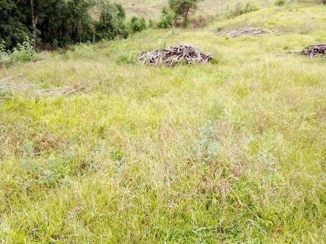 #5 - Chácara para Venda em Pinhalzinho - SC - 3