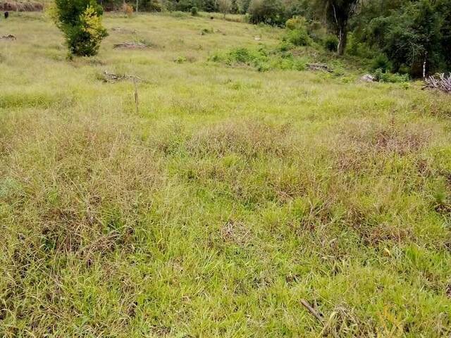 #5 - Chácara para Venda em Pinhalzinho - SC