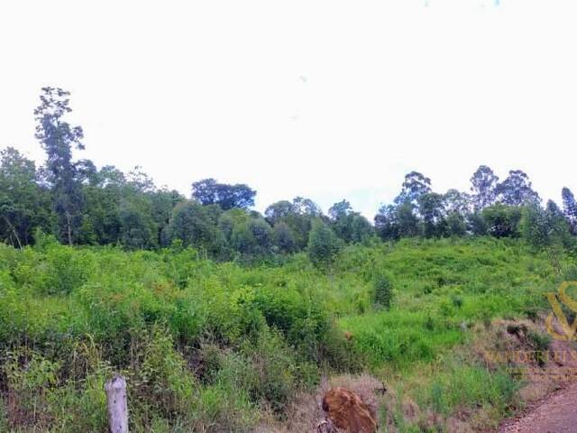 Chácara para Venda em Pinhalzinho - 5