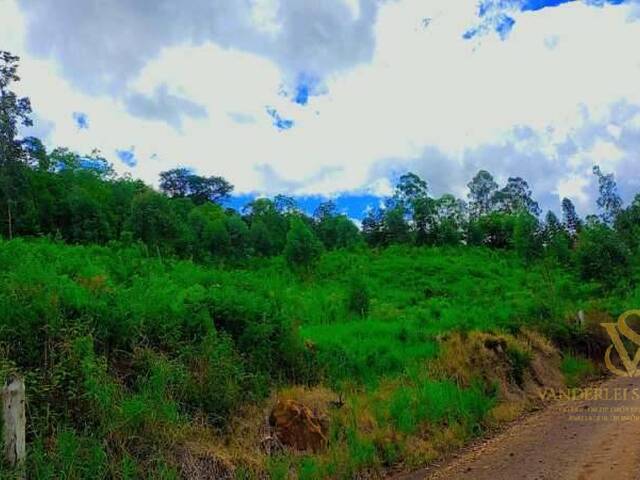 #6 - Chácara para Venda em Pinhalzinho - SC